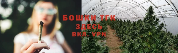 ПСИЛОЦИБИНОВЫЕ ГРИБЫ Майский