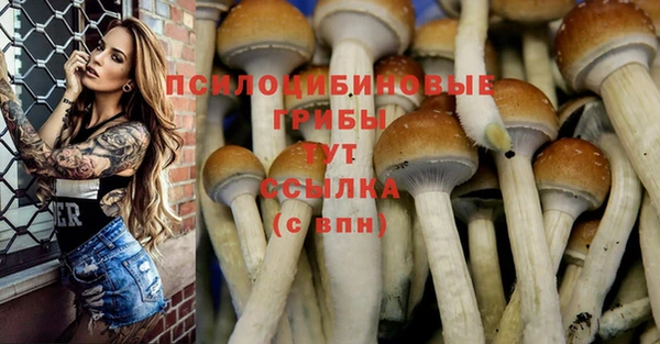 каннабис Михайловка