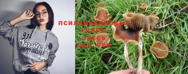 ПСИЛОЦИБИНОВЫЕ ГРИБЫ Майский